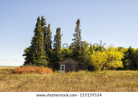 A hunting cabin in the woods surrounded by fall colored trees
