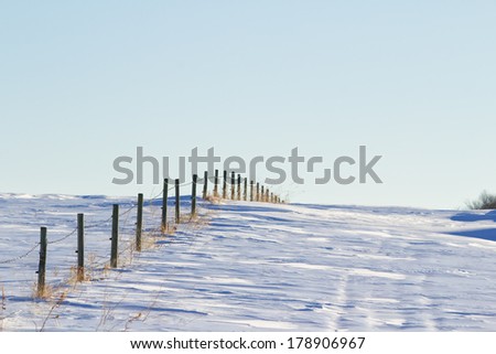 Line of fence posts in winter