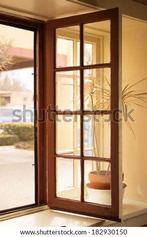 Long window standing ajar with a plant on the sill