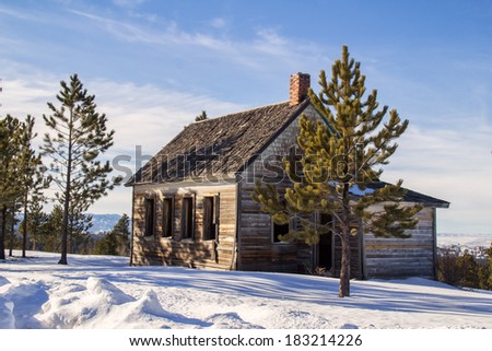 A crumbling old home with a green pine tree in front in the winter