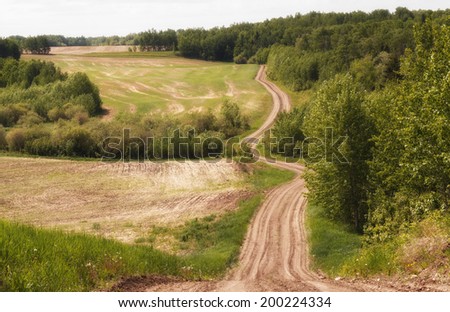 Winding dirt road parallel to forest of trees