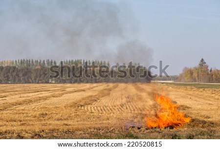 Small fire starting in the corner of a field