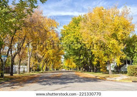 Residential street lined with tall autumn trees