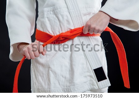 Judo martial Arts