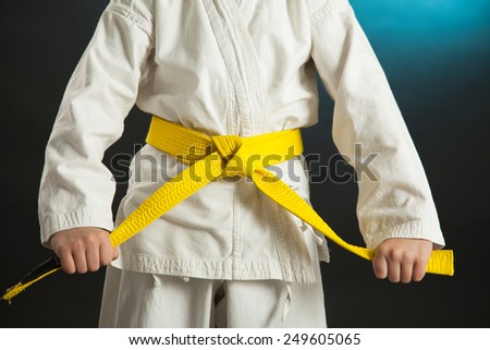 Judo Karate martial Arts