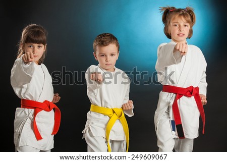 Group Kids Karate martial Arts