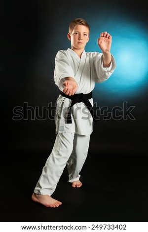 Karate martial Arts