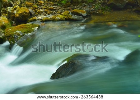 This is green stream in Caucasus mountains in  spring