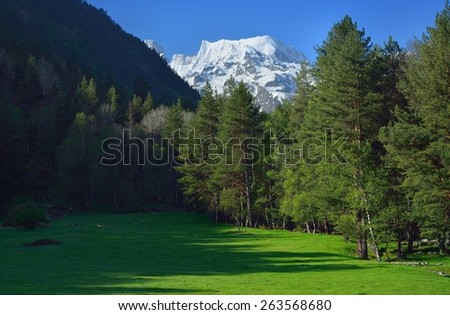 This is sunny morning in Caucasus mountains in spring,