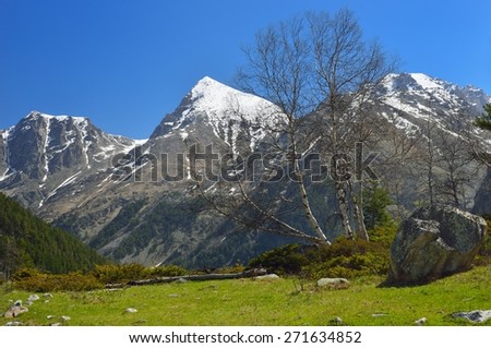 This is sunny view in Caucasus mountains in spring