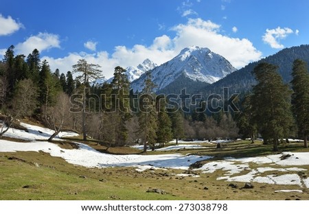 This is sunny view in Caucasus mountains in spring