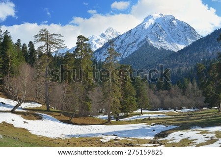 This is sunny landscape in Caucasus mountains in spring
