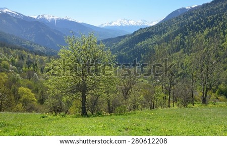 This is sunny day in Caucasus mountains in spring