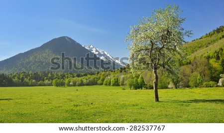 This is conservation valley in Caucasus mountains in spring