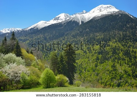 This is excellent day in Caucasus mountains in spring