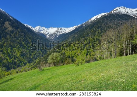 This is sunny landscape in Caucasus mountains in spring