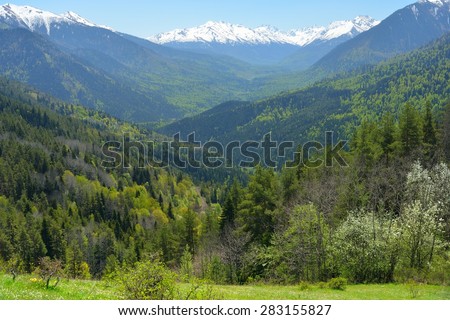 This is blue blue in Caucasus mountains in spring