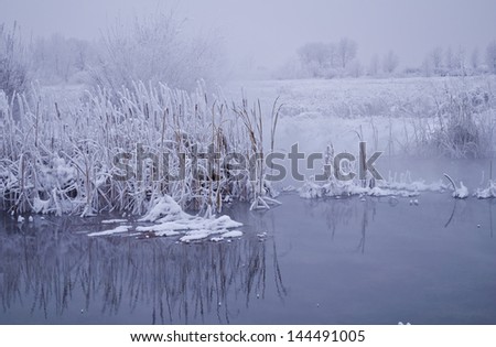 Winter background with trees in the snow, snow and water.