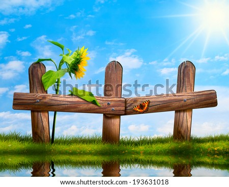 old fence with a sunflower against a beautiful sky