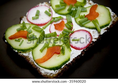 health sandwich