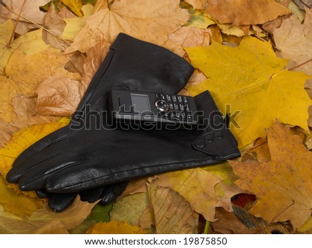 Black elegant gloves and mobile phone against autumn leaves