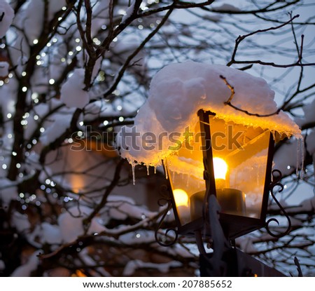 Street light, covered with snow   and snowy  trees  with Christmas decoration.