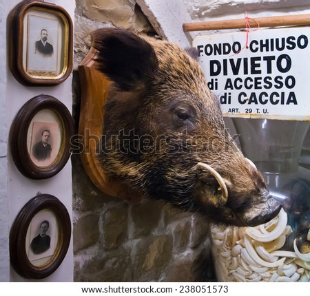 GREVE IN CHIANTI, ITALY  - OCTOBER 10, 2014 : Interior of meat shop at the market of Greve in Chianti, Tuscany, Italy.