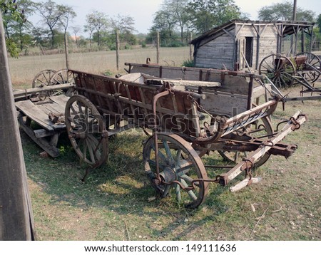 old ox cart in hungary in eastern europe in summer