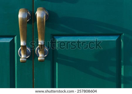 Bronze handles cast shadows on the green door