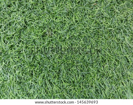 artificial fake grass, texture