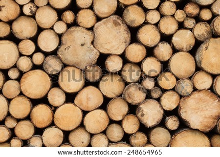 Pile of cut trees