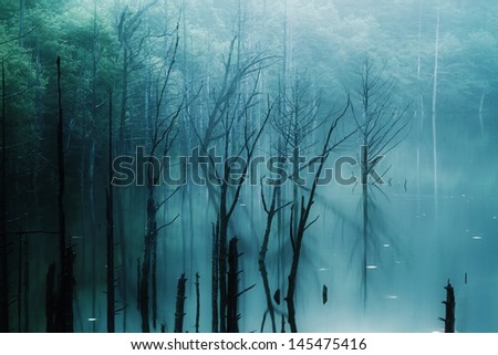 Withered trees on pond
