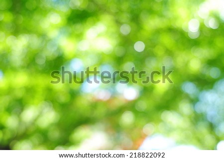 green background wallpaper nature texture bubble abstract