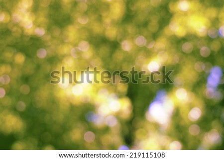 green nature background abstract bubble outdoor beautiful summer wallpaper