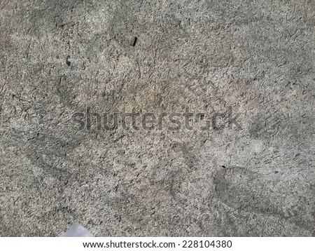 cement floor texture floor background cement wall