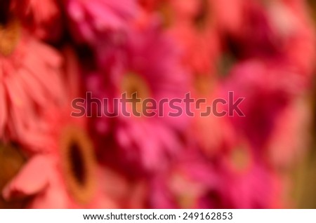 abstract blur background wall focus nature flowers color wallpaper green pink yellow flowers