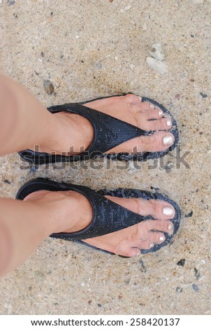dog beach sea shoes woman water walking pet wall background
