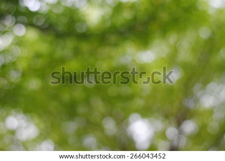 background blurred nature green garden blur nature abstract park forest bright focus day texture