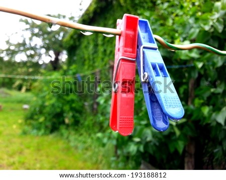 Clothes Clips In Nature Macro