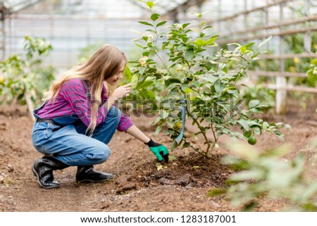 Beautiful hardworking woman taking care of the garden. side view photo. copy space