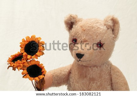 Teddy Bear Brings a Gift of Flowers