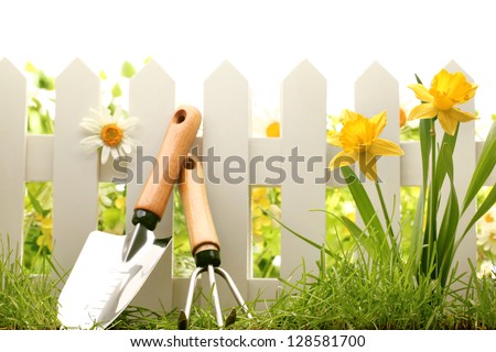 White Fence With Garden Tools,Green Grass And Daffodil Flowers.