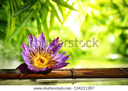 Spa still life with lotus float on water,bamboo background.