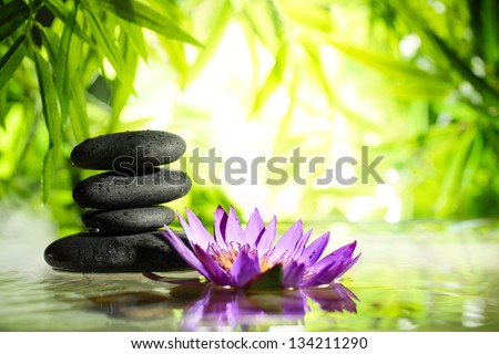 Spa still life with lotus and zen stone on water,bamboo background.