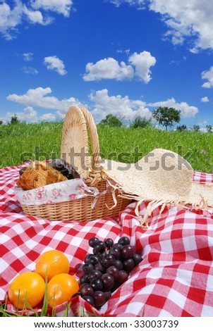 Picnic on the meadow at sunny day