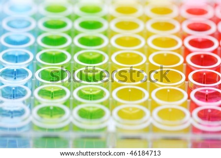 biomedical research: close up of Enzyme-linked Immunospot Assay plate