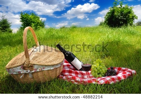 Outdoor picnic at sunny day.