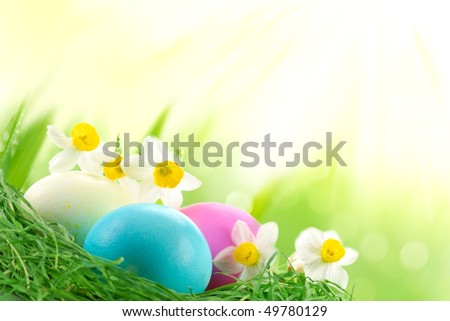 Easter Eggs sitting on grass in sunshine,Large copy space.