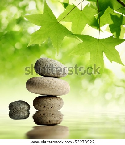 Green maple leaves over zen stone