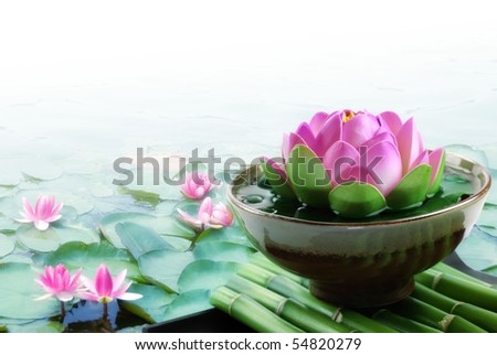 Spa still life with lotus for body treatment